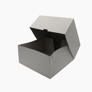 Упаковка 255х255х120